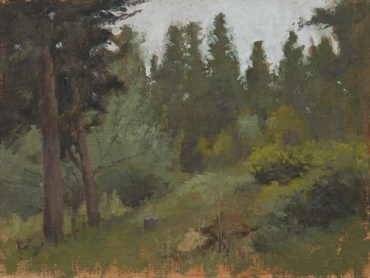 Parco Di Villa Rusciano Firenze 18x24 Olio