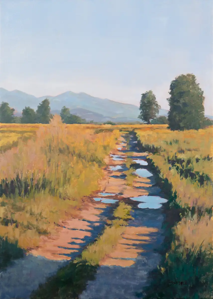 Strada Campagna 50x70 Olio